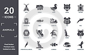 animals icon set. include creative elements as moth, tortoise, hog, gecko, hare, orangutan filled icons can be used for web design