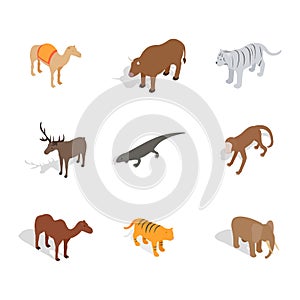 Animals icon set, isometric style