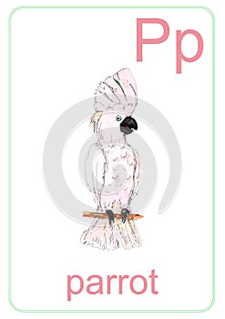Animals icons vintage style collection ABC  watercolor illustration flashcard