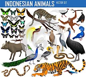 Animals of Indonesia and Indochina - vector set