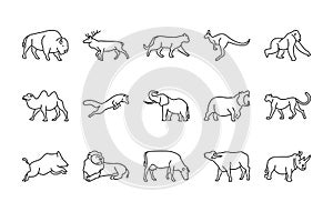Animals linear vector icons. Isolated outline of animals deer, cat, kangaroo and more on a white background. Vector animals symbol