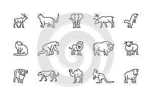 Animals linear vector icons. Isolated outline of animals gazelle, cat, elephant, deer and more on a white background. Vector