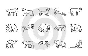 Animals linear vector icons. Isolated outline of animals horse, cat, dog and more on a white background. Vector animals symbol set