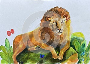 Animals, lion, hand-drawn in watercolor on paper.