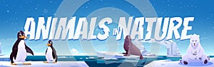 Animals in nature cartoon banner. Beasts in fauna