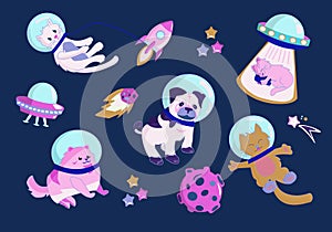 Animals in open space. Cute cat, pug, spitz astronauts and rocket. Characters exploring universe galaxy with planets