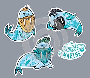 Animals patch collection of hipster walruses with beards and tattoos in cartoon style. Vector fun stickers