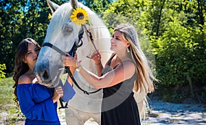 Animals and people concept, hobby, horses