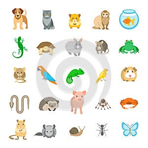 Animals pets vector flat colorful icons set on white