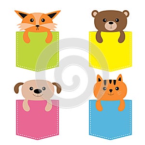 Animals in the pocket. Cute cartoon colorful dog, bear, fox, kitten kitty character. Dash line. Pet animal collection. on