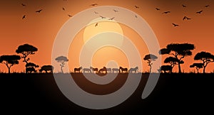 Animals savannah. Landscape africa. Sunset Safari. Vector illustration