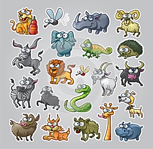 Animals Set