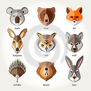 Animals set icon head muzzles photo