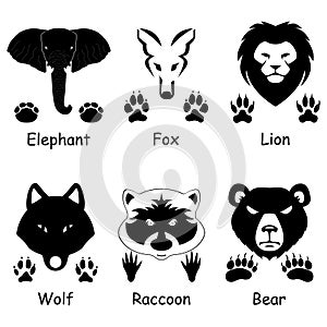 Animals set - mammals and predatory icon