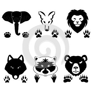 Animals set - mammals and predatory icon