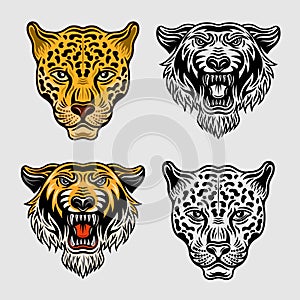 Animals set of vector objects in two styles colored and black and white. Jaguar head and tiger head cartoon characters
