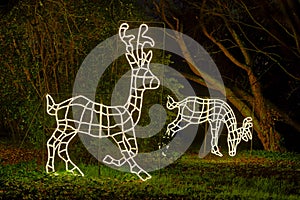 animals shape xmas lights outdoor decoration garden for Christmas event