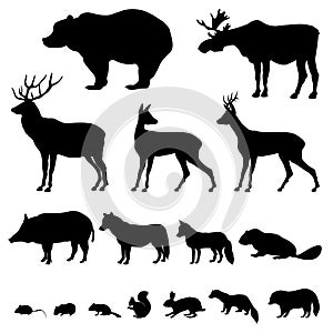 Animals silhouette set
