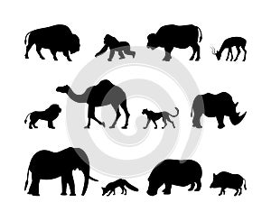 Animals silhouette vector icons. Isolated animal silhouettes gorilla, buffalo, gazelle, lion and more on a white background