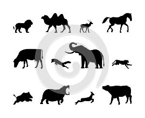 Animals silhouette vector icons. Isolated animal silhouettes lion, camel, gazelle, horse and more on a white background