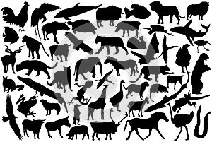 Animals silhouettes