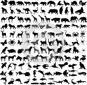 Animals silhouettes collection