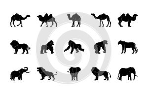 Animals silhouettes vector icons set. Isolated outline of animals camel, lion, gorilla, lioness, elephant on a white background.