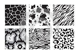 Animals skins patterns. Tiger giraffe zebra leopard vector seamless background