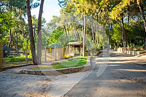 Animals in the small zoo in Antalya, Turkey