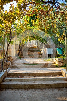 Animals in the small zoo in Antalya, Turkey