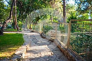 Animals in the small zoo in Antalya, Turkey