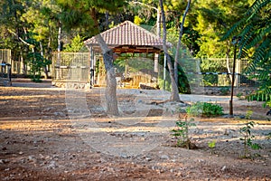 Animals in the small zoo in Antalya, Turkey