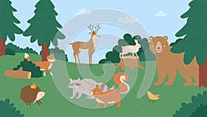 Animals in summer nature, cartoon happy wild animalistic characters standing on natural green meadow