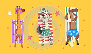 Animals Sunbathing on Beach Set, Top View of Giraffe, Zebra, Horse Relaxing on Seashore at Summer Holidays Vector