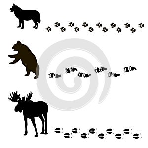 Animals and their tracks photo