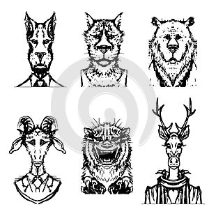 Animals, tiger, deer, goat, wolf bear head vector