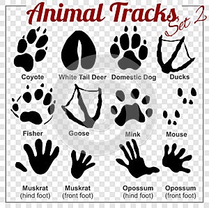 Animals Tracks - vector set