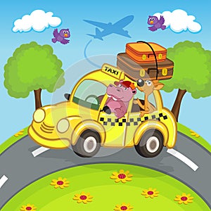Animals traveling in taxi