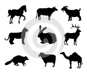 Animals various types isolated vector Silhouette