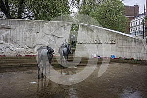 Animals in War Memorial  London  UK