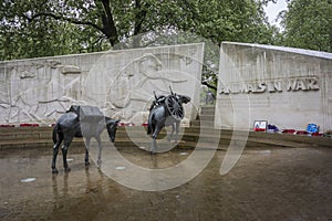 Animals in War Memorial  London  UK