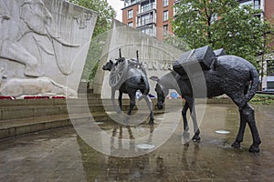 Animals in War Memorial  London  UK