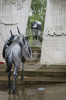 Animals in War Memorial  London  UK