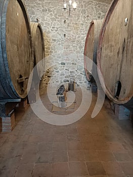 Animals winebarrels Harry potter