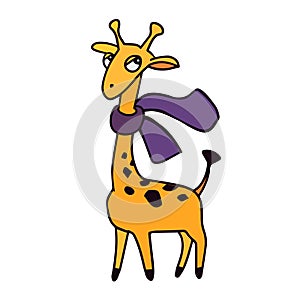 Animals of zoo. Giraffe with scarf in cartoon style. Isolated cute character on white. Vector illustration