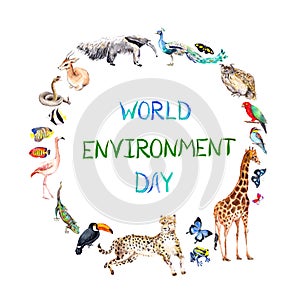 Animals - zoo, wildlife antelope, owl, gecko, parrot, other . Wreath frame for World Environment Day. Watercolor