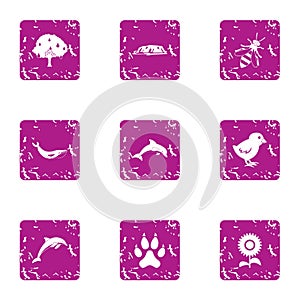 Animate essentiality icons set, grunge style