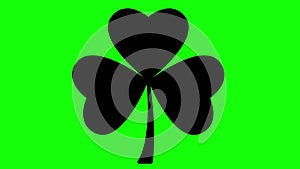 Animated black symbol of leaf of clover. Icon of ?rish plant. Concept of Patrick\'s Day. Looped video.