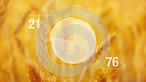 Animated Chart For Wheat Yield in Agricultural cultivated field