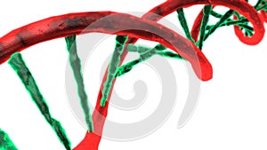 Animated DNA chain. Rotation DNA